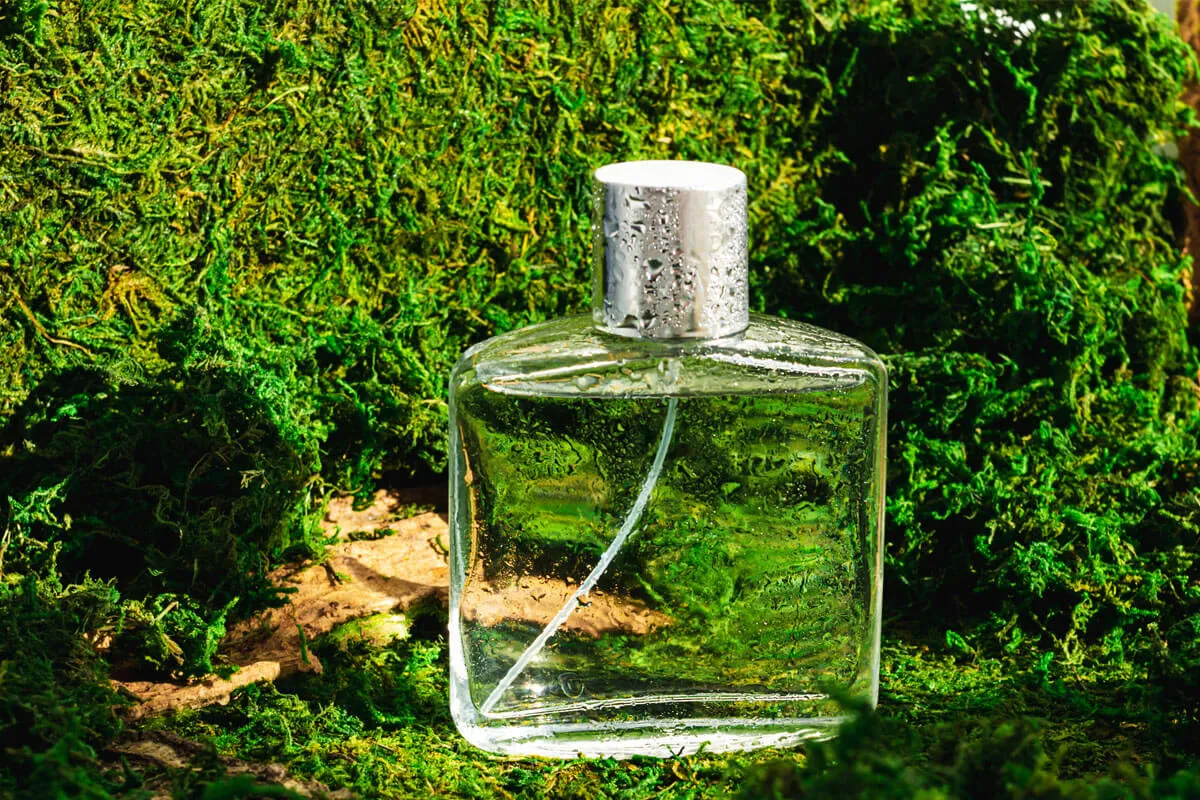 Featured image for: De tijdloze elegantie van fougère geuren