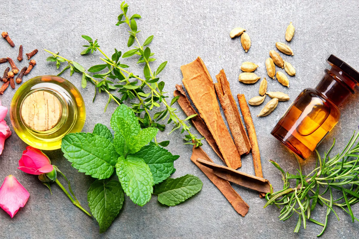 Featured image for: Parfumingrediënten uitgelicht: vetiver, patchoeli en ambergris